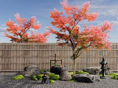 乔木 红枫 枫树 庭院景观小品 枯山水 苔藓石