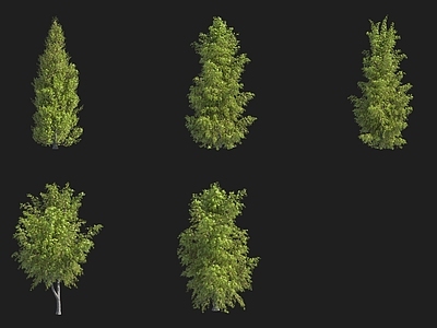 景观树 欧洲刺柏灌木瑞典