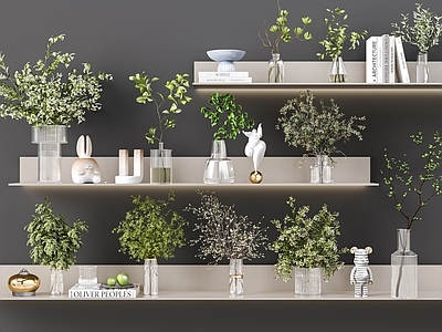 水生植物 玻璃瓶绿植 水培绿植 植物饰品摆件 书本饰品 花