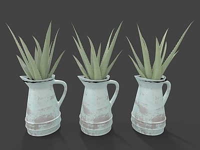 现代佛龛 现代装饰植物