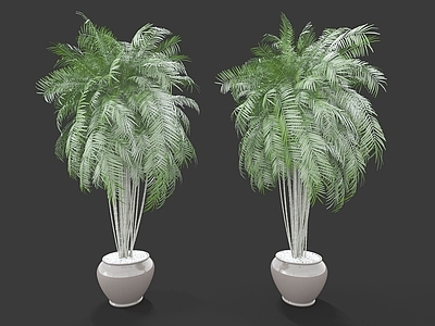 现代佛龛 现代装饰植物