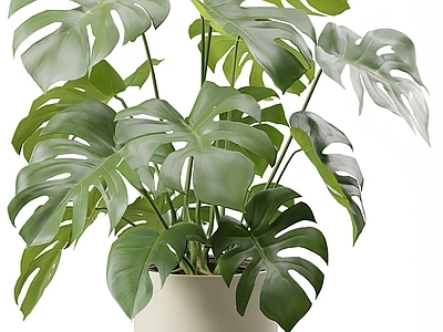 盆栽 现代奶油风绿植盆