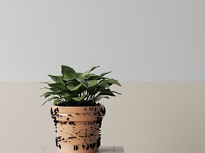 盆栽 现代盆栽