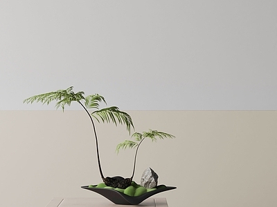 盆栽 现代盆栽