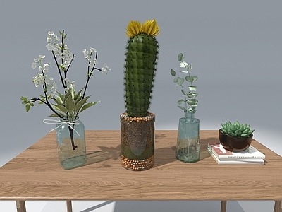 现代花艺 花瓶摆件 仙人掌 插花