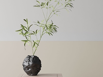 盆栽 现代盆栽