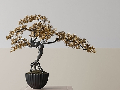 盆栽 现代盆栽