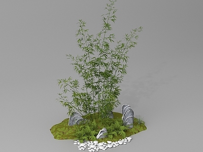 其他绿植 蕨类植物 植物堆 植物造景