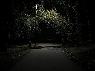 现代街道外景 人行道 道路 夜晚 街道夜景