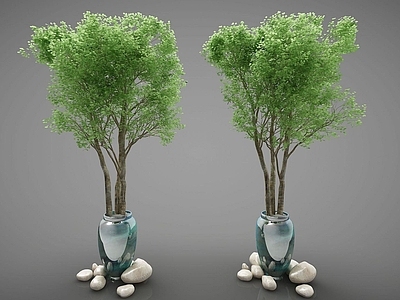 现代佛龛 现代装饰植物
