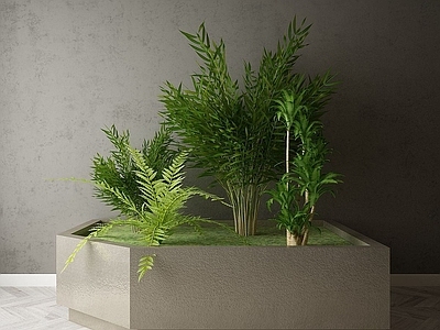 现代佛龛 现代装饰植物
