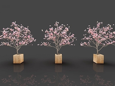 现代佛龛 现代装饰植物