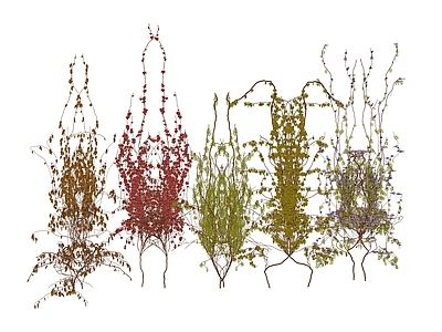 藤蔓 花架藤蔓 吊篮藤蔓 廊架藤蔓 花墙藤蔓 紫藤爬山虎爬墙虎