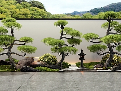 乔木 松树 罗汉松 庭院景观 景观石 灌木