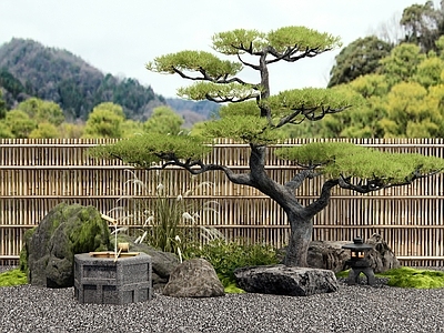 新中式庭院 松树 水钵 景观石头 枯山水 竹篱笆