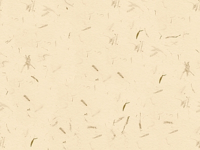 现代纸书本 木色纸张肌理 牛皮纸肌理 瓦楞纸