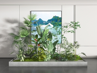 植物组合 盆栽 盆景 植物堆 绿植堆 植物