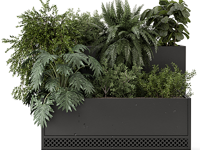 花箱 花箱绿植 绿植墙 绿植堆 景观绿植 观赏绿植