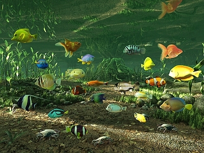 水生动物 海底世界 热带鱼观赏鱼 鱼群 海洋鱼类 螃蟹水草