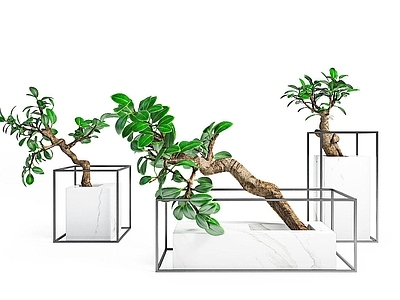 现代佛龛 现代装饰植物