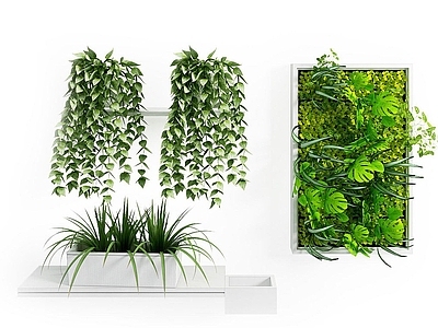 现代佛龛 现代装饰植物吊兰