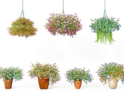 现代佛龛 现代小花吊篮盆栽