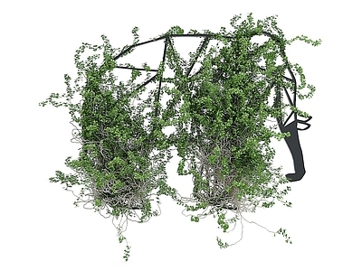 现代佛龛 现代装饰藤蔓植物