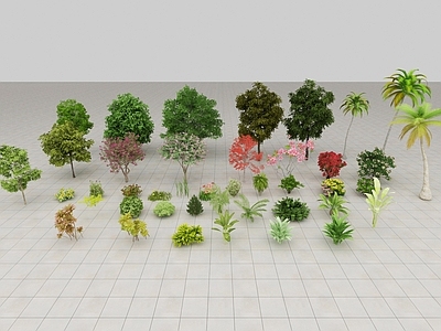 花草组合 花草树木
