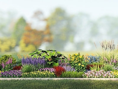 花草 花境 花坛花草