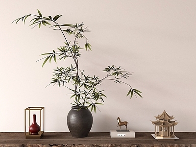 盆栽 新中式盆栽 竹子 植物