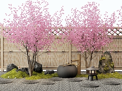 乔木 樱花树 桃树 水钵 庭院景观小品 苔藓造景