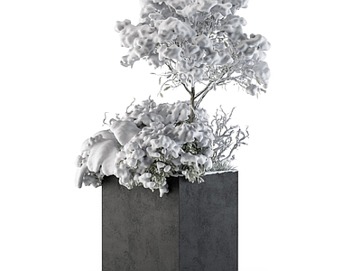 花箱 雪地盆栽 雪地花箱 雪地景观绿植 雪地观赏绿植 雪地盆栽绿植