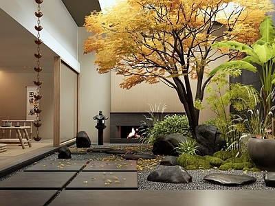 新中式禅意庭院 中庭景观 天井庭院 茶室 景观树 植物堆