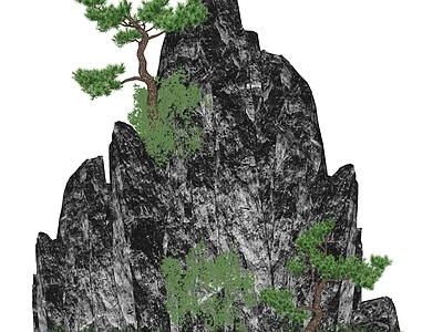 中式假山 假山 松树 石头