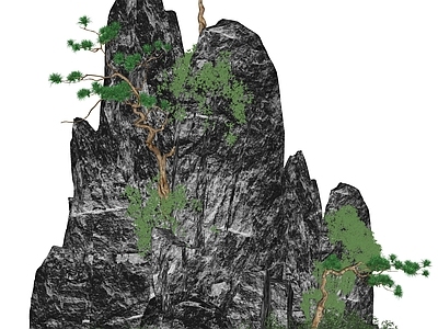中式假山 假山 松树 石头