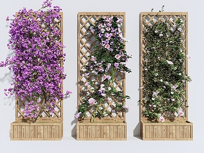 藤蔓 现代藤蔓植物 花架 绿植墙