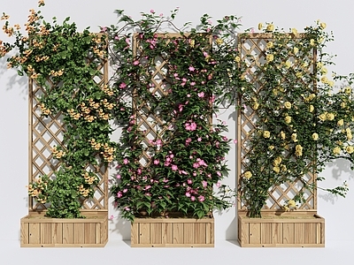 藤蔓 现代藤蔓植物 花架 绿植墙
