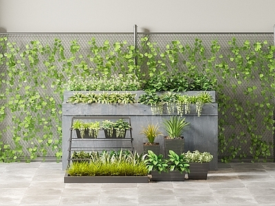 盆栽 植物墙 植物堆 盆栽