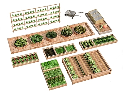 现代庭院 庭院菜园 一米菜园 蔬菜种植池