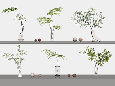 植物组合 盆栽组合