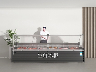 冰柜 冷藏柜 保鲜柜 肉制品 肉柜 冰柜