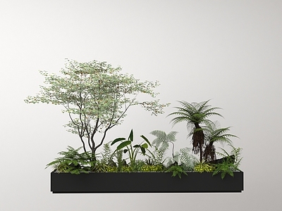 植物堆 植物堆 现代室内植物造景 景观造景 庭院小品 景观树