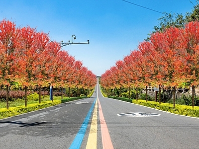 现代街道外景 道路