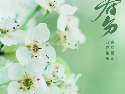 新中式纸书本 二十四节气春分