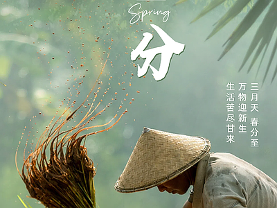 新中式纸书本 二十四节气春分 宣传栏