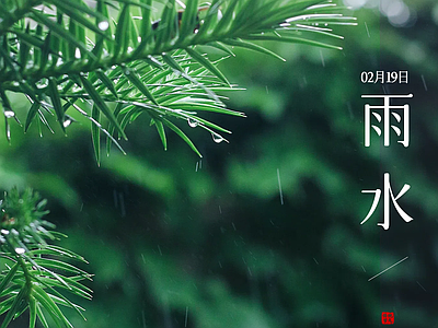 现代中式纸书本 二十四节气雨水 宣传栏
