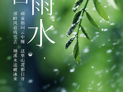现代纸书本 二十四节气雨水