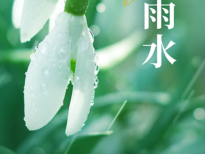 新中式纸书本 二十四节气雨水 宣传栏