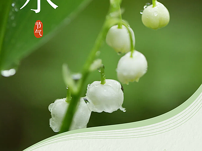 新中式纸书本 二十四节气雨水 宣传栏