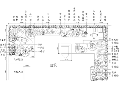 庭院 植物绿化平面图 别墅庭院 花园庭院 私家庭院 农村庭院 施工图